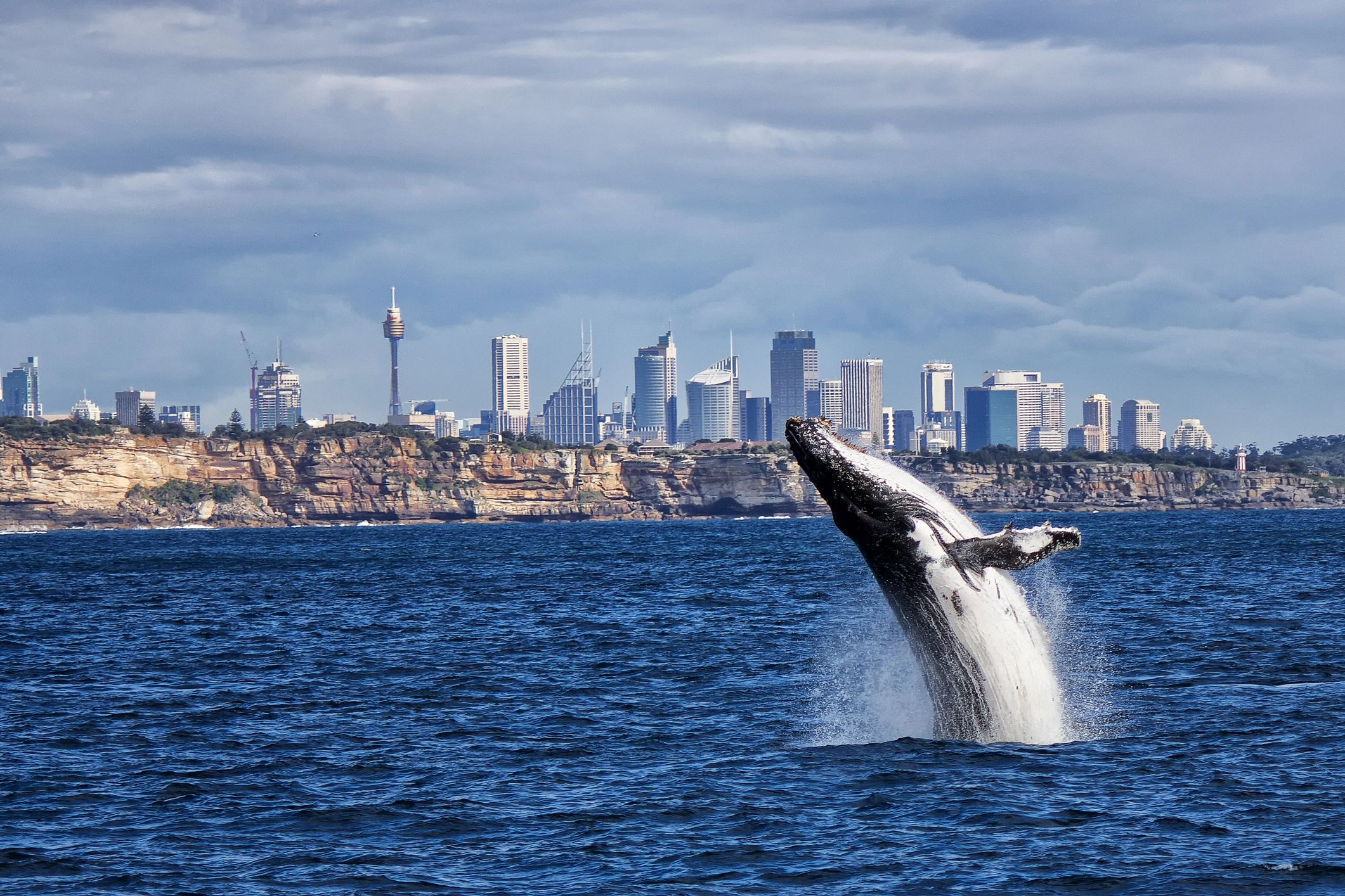 green travel Sydney